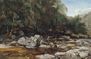 Winding Stream, Near Lynmouth by William James Mueller