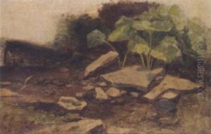 Study Of Plants And Rocks by William James Mueller