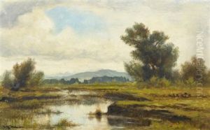 Moorlandschaft Bei Muolen