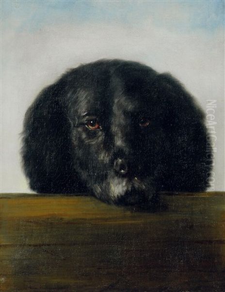 Der Schwarze (der Hund Des Kunstlers) - view 1