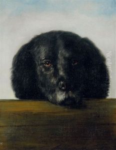 Der Schwarze (der Hund Des Kunstlers)