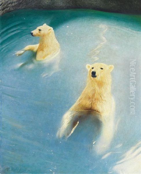 Zwei Schwimmende Eisbaren - view 1