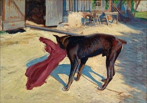Hofhund Mit Rotem Tuch