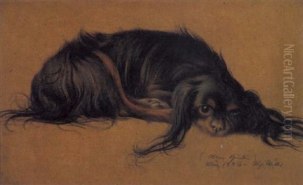Mein Quick (liegender Pekinese) - view 1