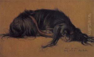 Mein Quick (liegender Pekinese)