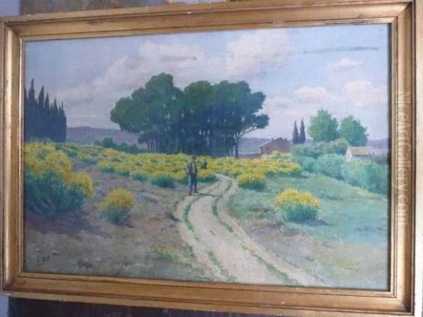 Les Mimosas. - view 1