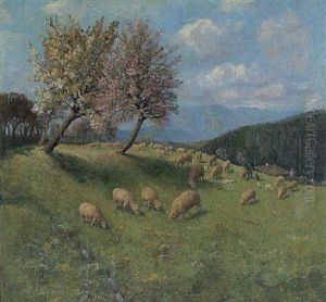 Weidende Schafe Auf Einer Bluhenden Fruhlingswiese