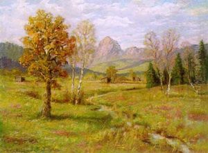 Landschaft Mir Birken
