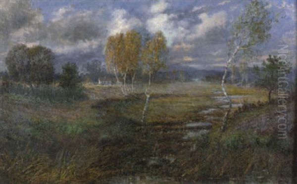 Herbstliche Moorlandschaft In Oberbayern - view 1
