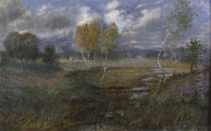 Herbstliche Moorlandschaft In Oberbayern Herbstliche Moorlandschaft In Oberbayern