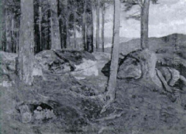 Waldpartie Mit Felsen - view 1