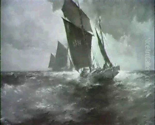 Marine - view 1