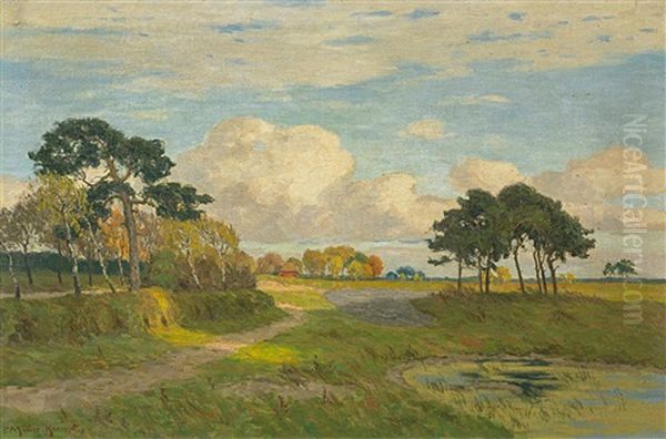 Sommerliche Landschaft In Mecklenburg - view 1