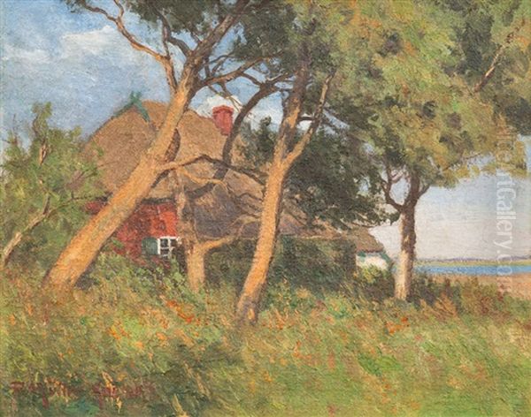 Kate Im Sommer Hinter Krummholz - view 1