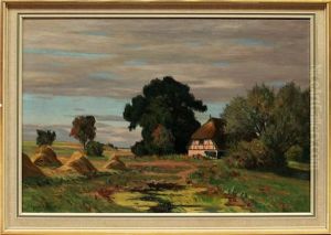 Landschaft Bei Ahrenshoop