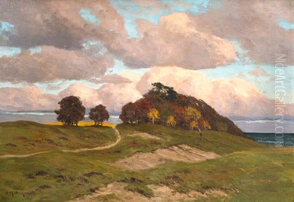 Auf Der Dune - view 1