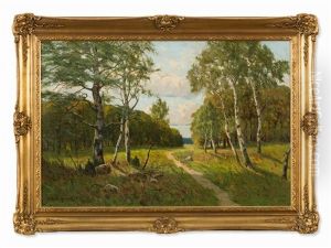 Birches At The Forest