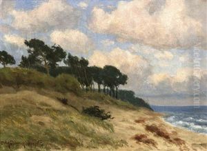Dunen Bei Ahrenshoop