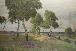 Heide Bei Ahrenshoop