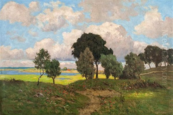 Sommerliche Boddenlandschaft - view 1
