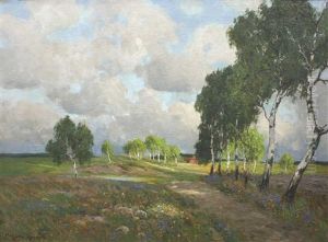 Sommerlandschaft Bei Ahrenshoop