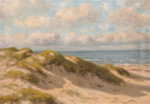 Dunes And Sea - view 1