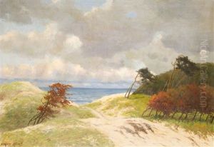Windfluchter In Den Dunen Von Ahrenshoop