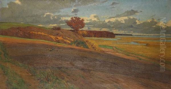 Ruhende Felder, Landschaft Bei Ahrenshoop - view 1