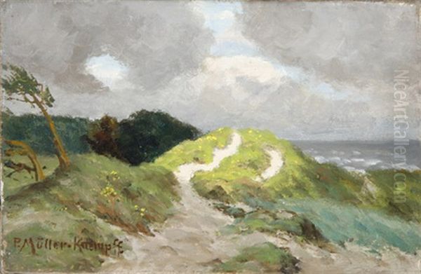Kustenlandschaft Im Sturm Bei Aufziehendem Gewitter - view 1