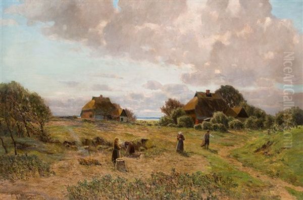 Kartoffelernte Am Bodden - view 1