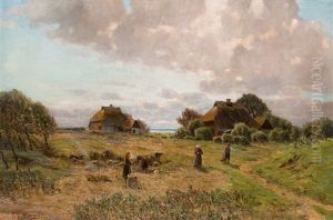 Kartoffelernte Am Bodden