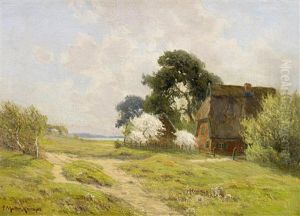 Fruhling An Der Kuste Bei Ahrenshoop