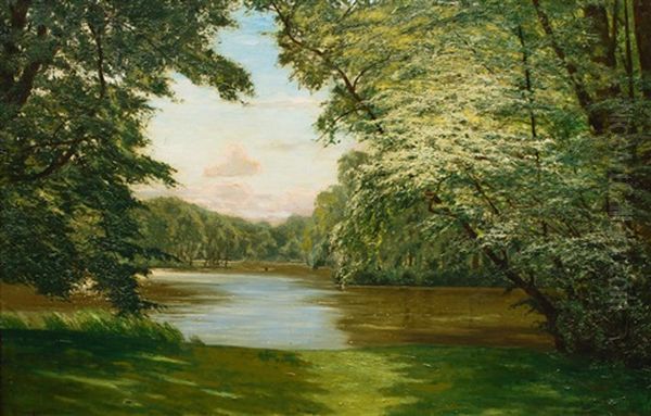 A Lake In Mecklenburg - view 1