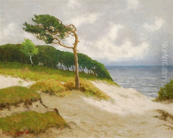 Coast Of The Baltic Sea Near Ahrenshoop - view 1