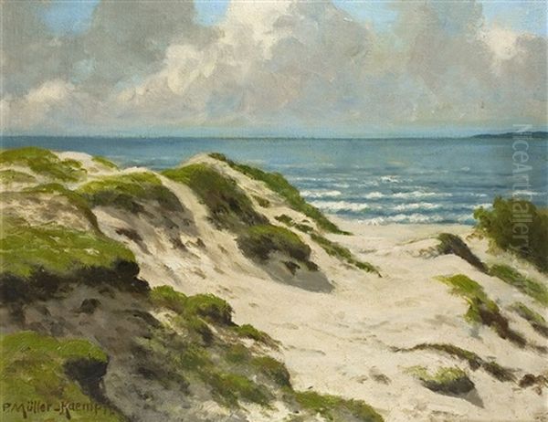 Dunenlandschaft - view 1