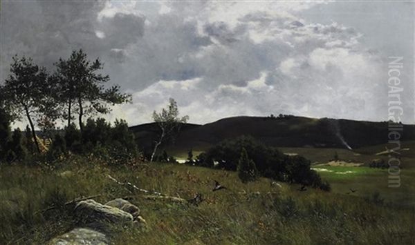 Dunenlandschaft Auf Rugen - view 1