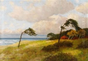 Windfluchter In Ahrenshoop