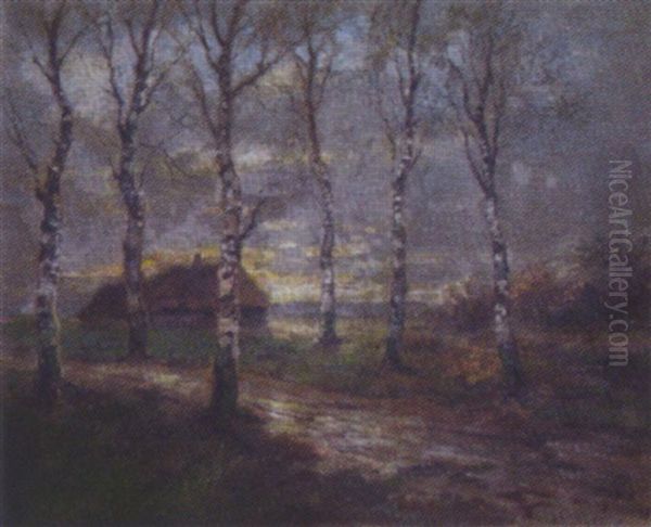 Moorlandschaft Am Abend - view 1