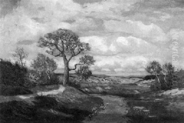Landschaft Auf Hiddensee Im Vorfruhling - view 1