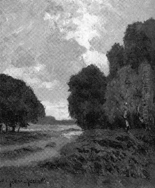 Heidelandschaft In Mecklenburg - view 1