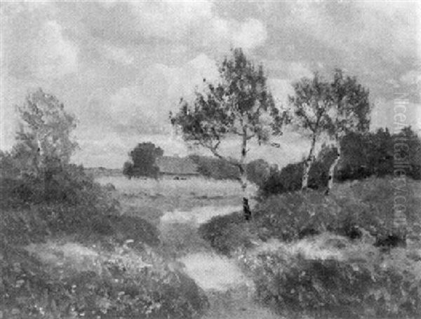 Sandiger Weg Am Darss - view 1