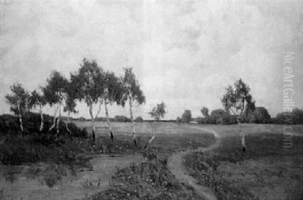 Mecklenburgische Landschaft Mit Jungen Birken - view 1