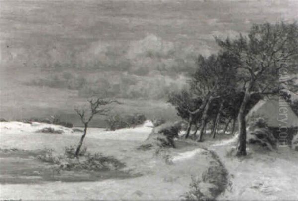 Winterlandschaft - view 1