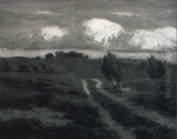 Heidelandschaft - view 1