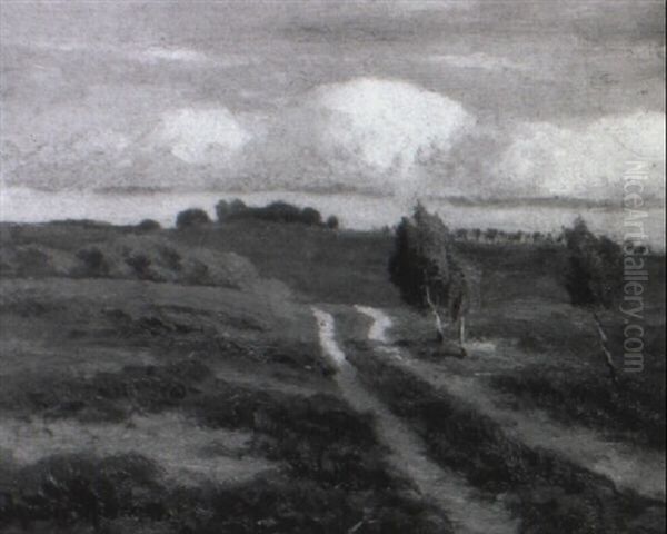 Heidelandschaft - view 1
