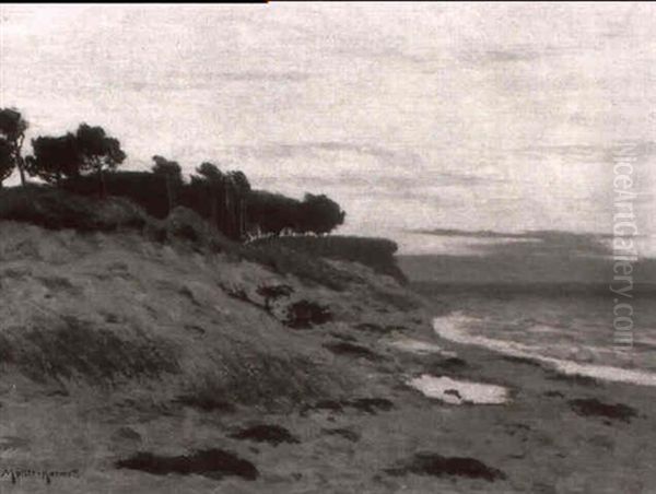 Strandansicht Mit Dunen - view 1