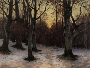 Winter Forest