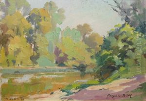 Riviere Bordee D'arbres
