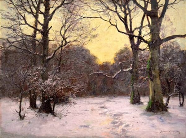 Winterwald - view 1
