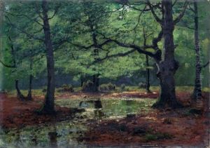 Bachlauf Im Wald Bachlauf Im Wald